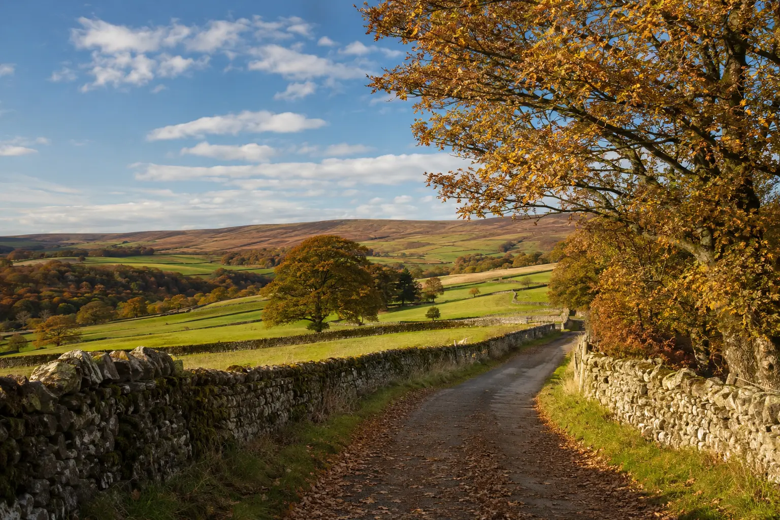 A North Yorkshire country lane between dry-stone walls in autumn sunshine